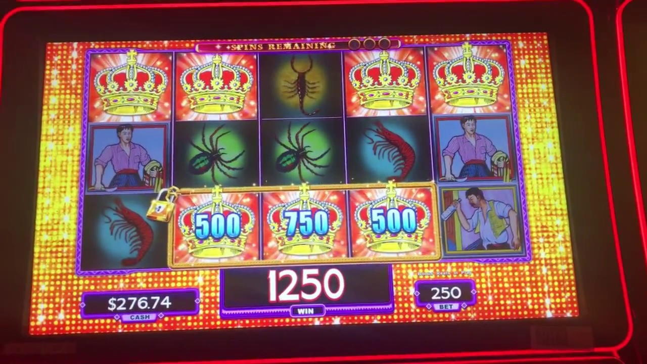250 free spins no deposit at Dunder Casino