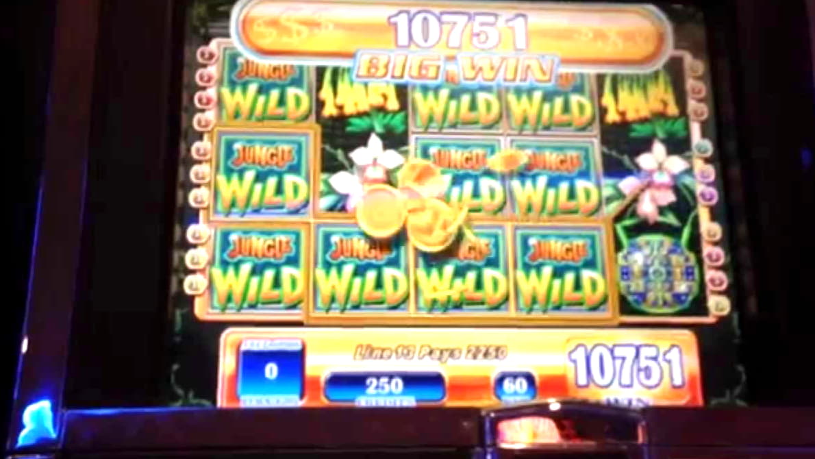 155 Free spins at Betway Casino