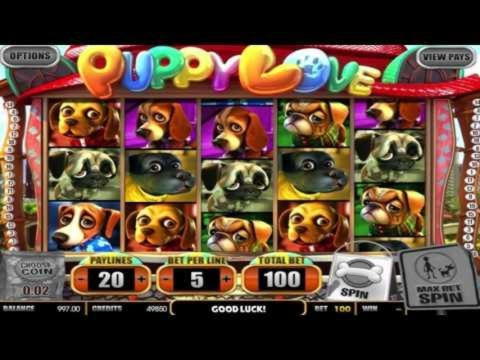 55 Free Spins no deposit at Spinit Casino