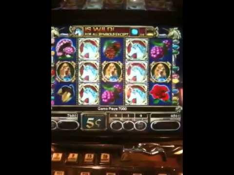 220 free spins casino at Guts Casino