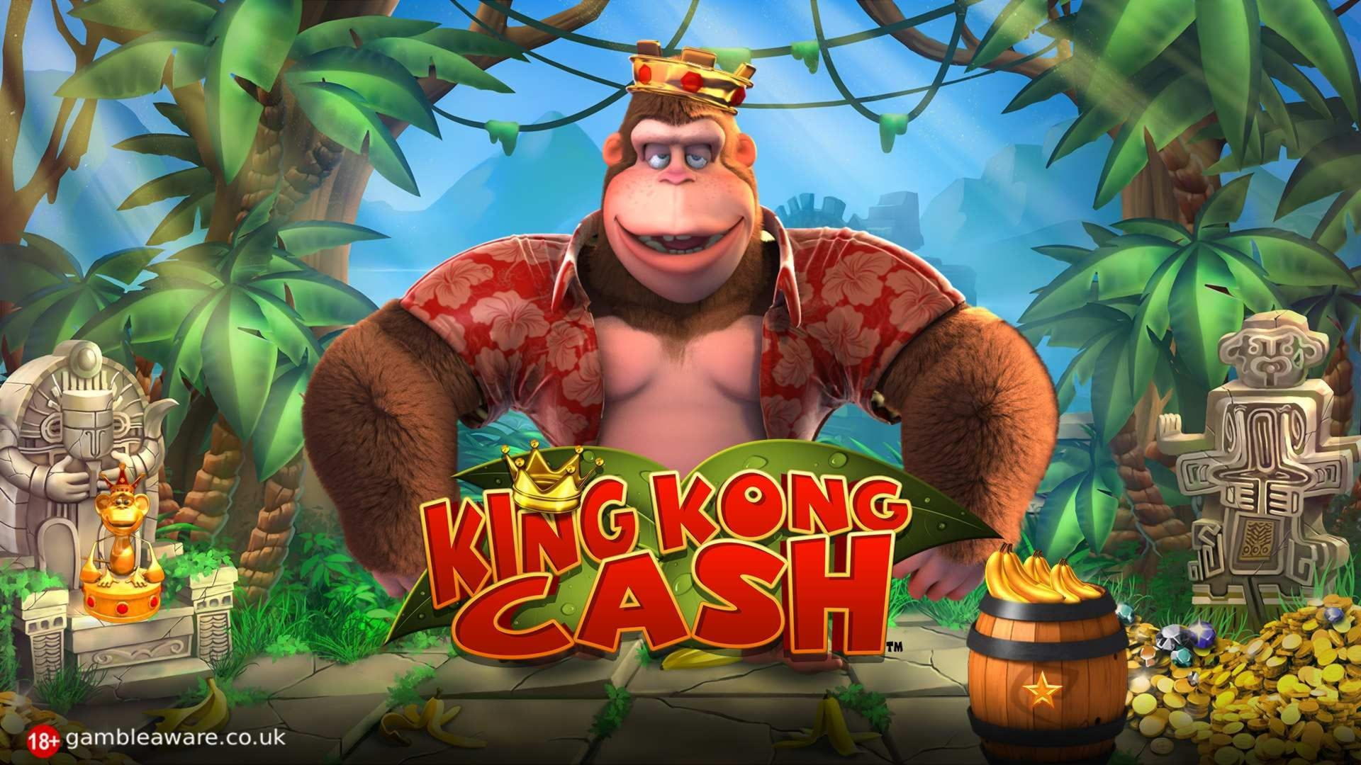 €2485 No Deposit Casino Bonus at Casimba Casino