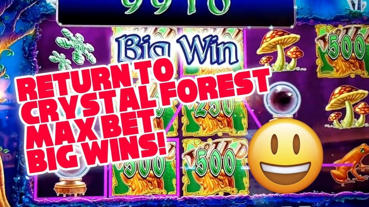 795% Casino match bonus at Spin Palace Casino
