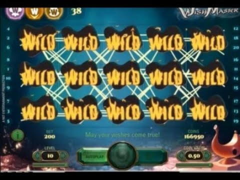 $975 Daily freeroll slot tournament at Vera and Jhon Casino