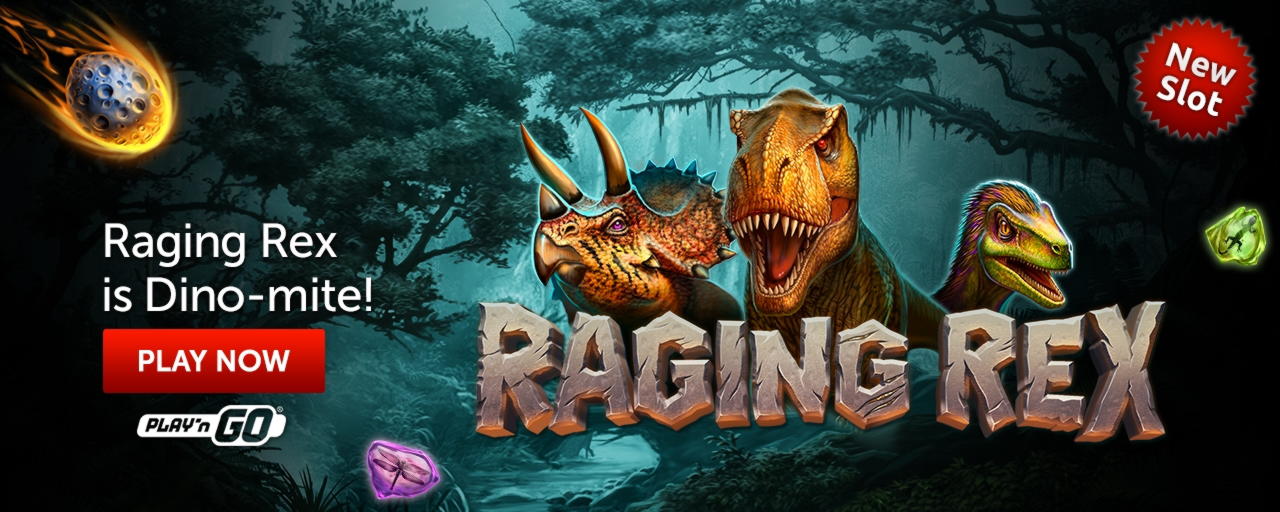 ﻿$495 Casino chip at bWin Casino