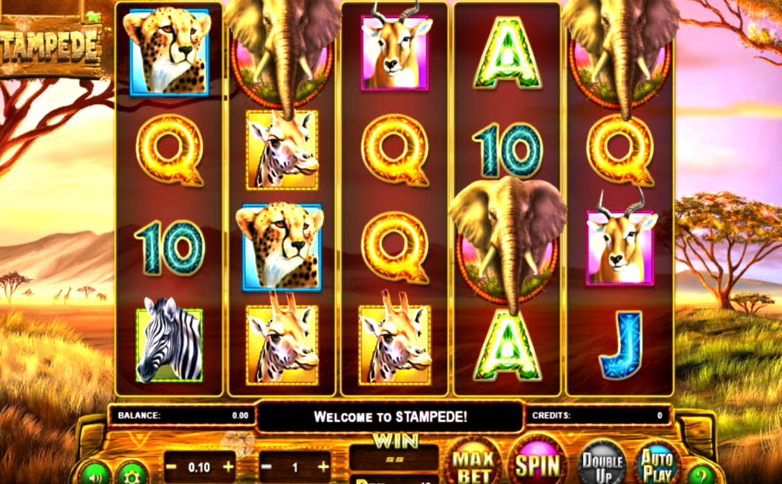 ﻿$485 Daily freeroll slot tournament at Winner Casino