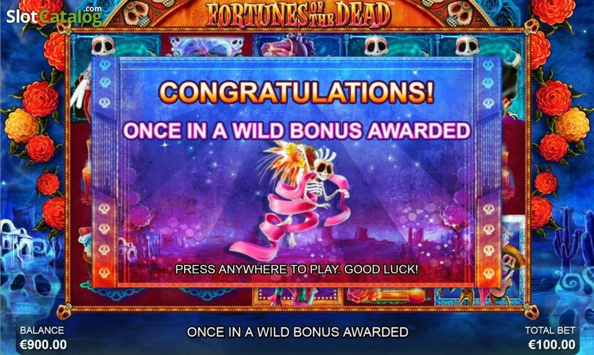 ﻿$3405 No deposit casino bonus at Spin Palace Casino