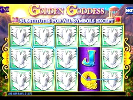 50 Free Spins Casino at Winner Casino