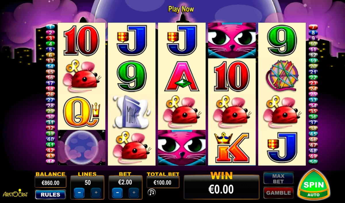 $340 Tournament at Rizk Casino