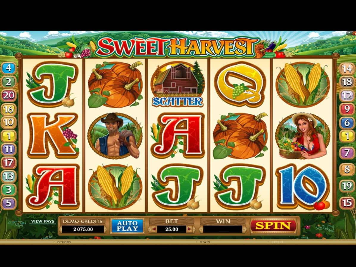 $125 Free chip casino at Winner Casino