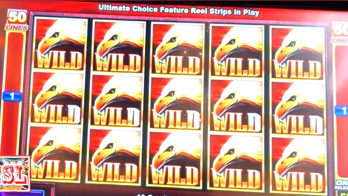 £350 Daily freeroll slot tournament at Winner Casino