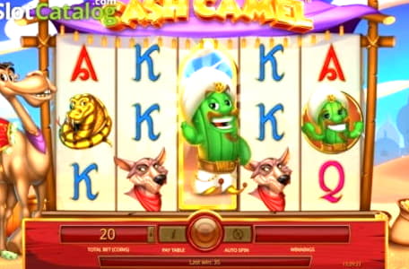 495% Match bonus at 888 Casino