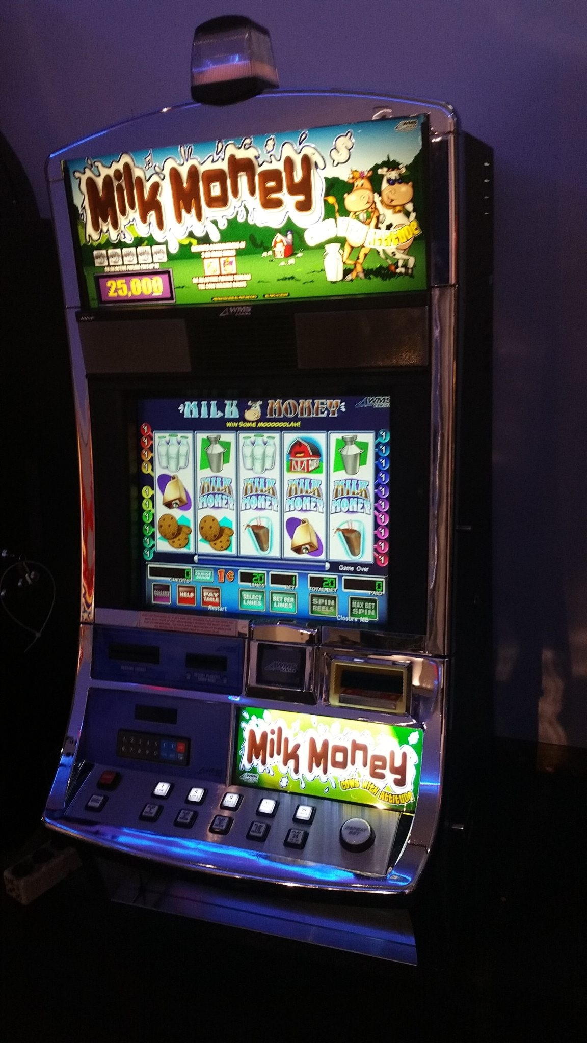 575% No Rules Bonus! at Casimba Casino
