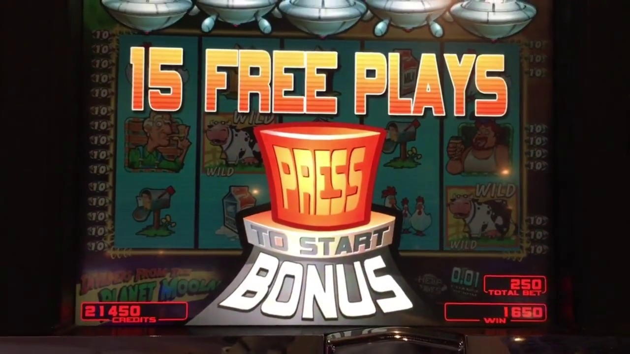 235 Loyal Free Spins! at Spinit Casino
