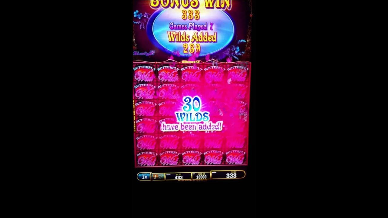 710% Match Bonus at Ikibu Casino