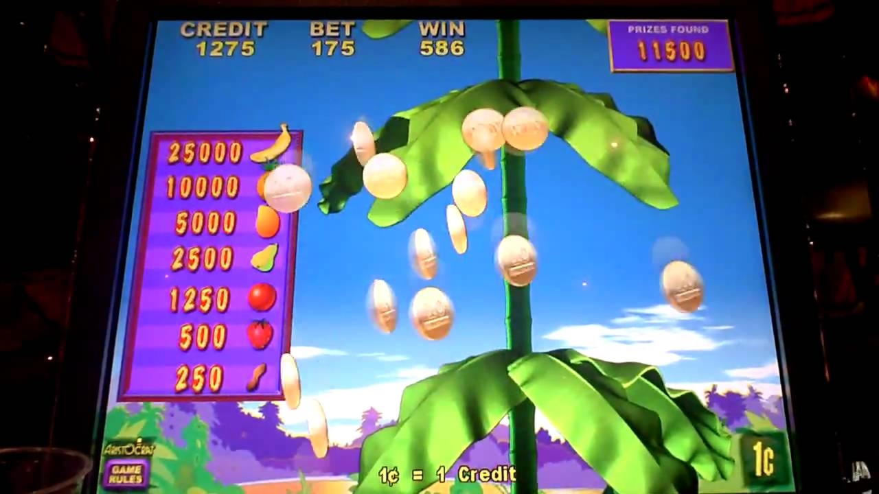 240 Loyalty Free Spins! at Casimba Casino