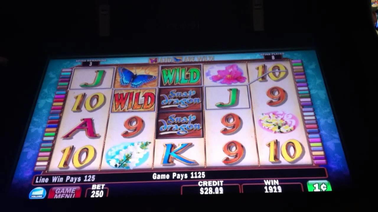 EURO 540 Daily freeroll slot tournament at Casino Luck