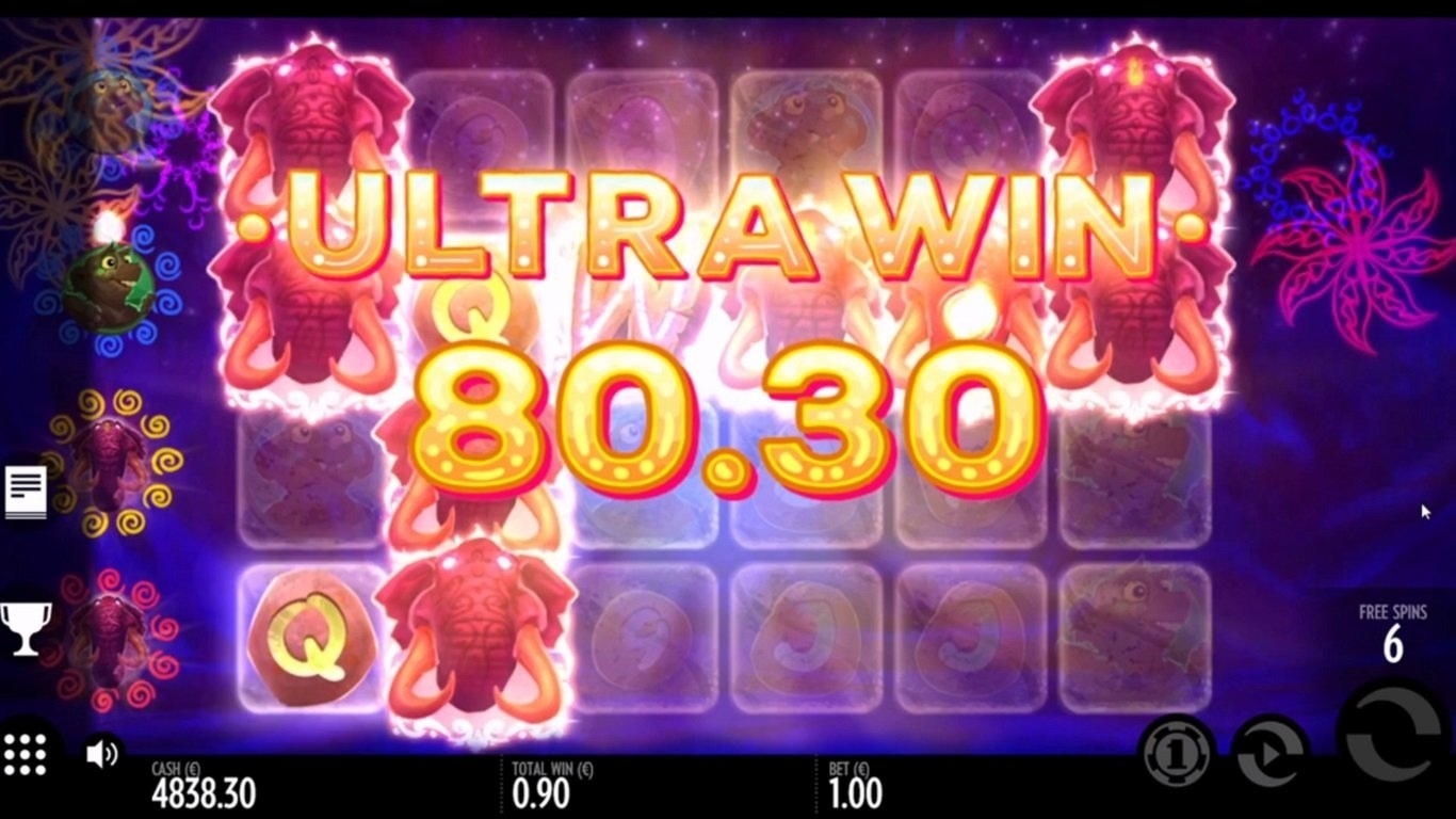 100 Free spins at Spinrider Casino