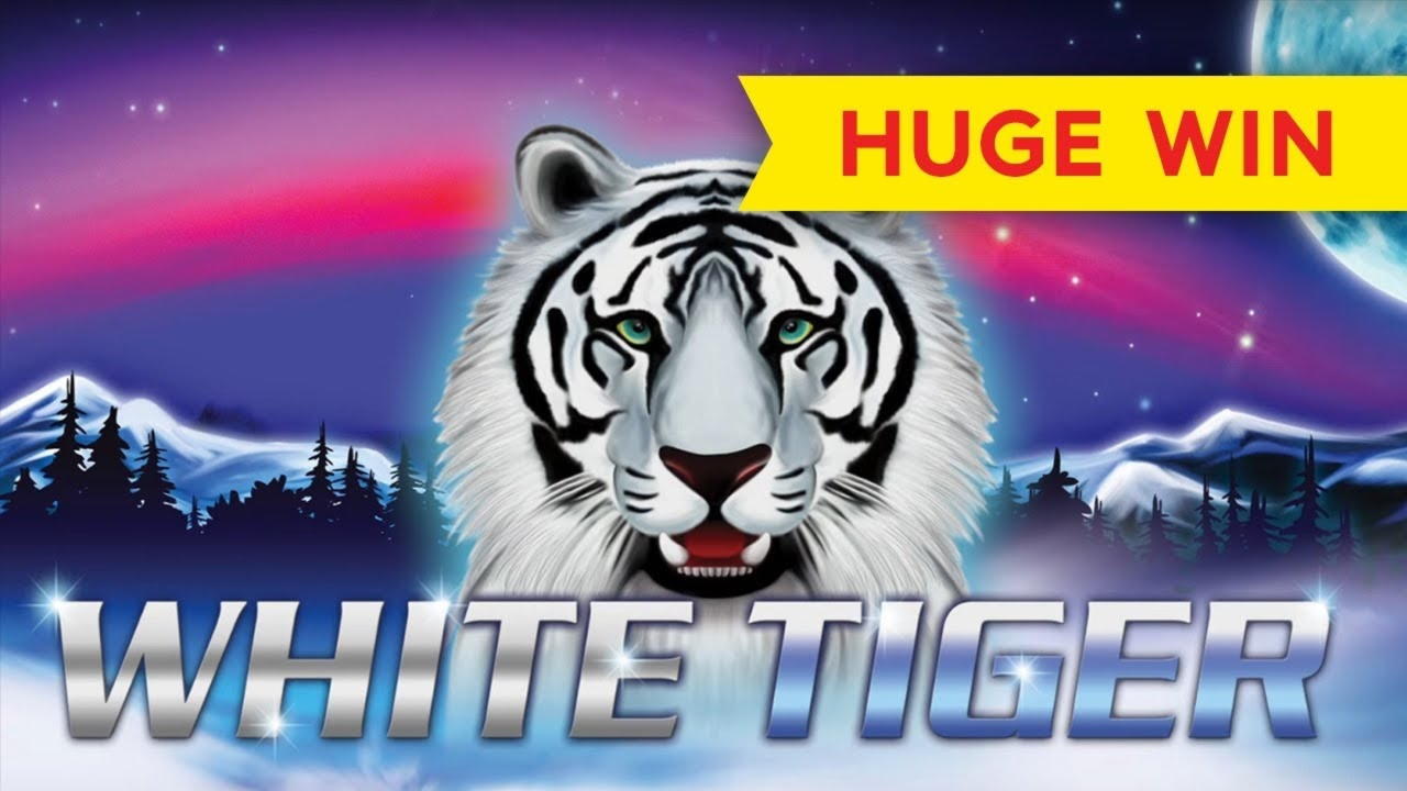 155% Casino match bonus at Casimba Casino
