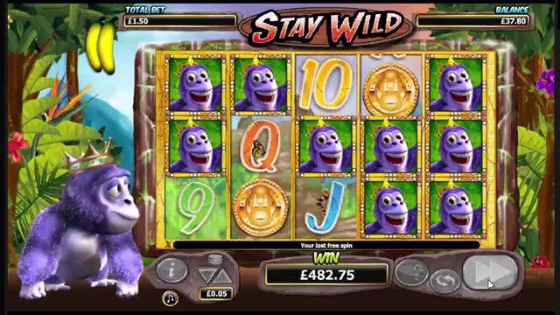 $660 Free chip at Casimba Casino
