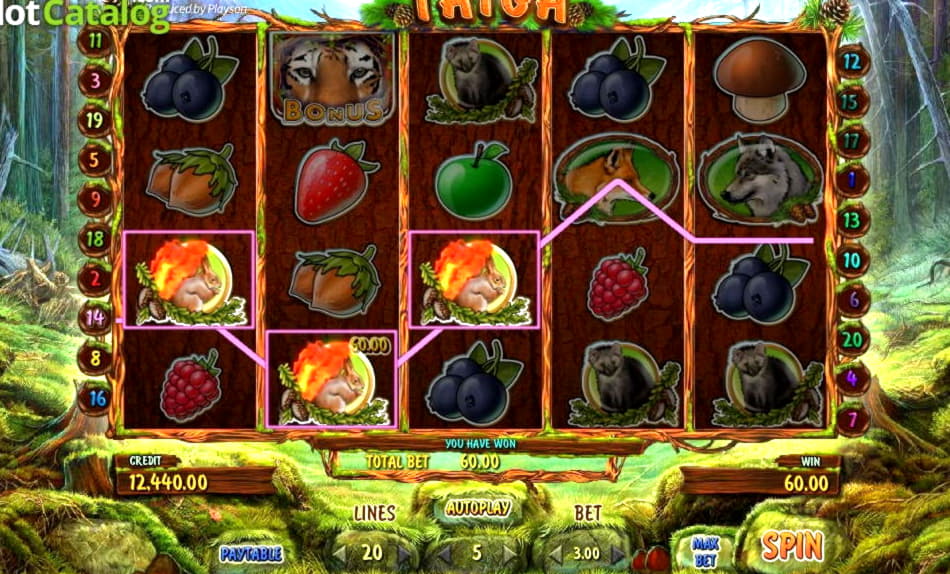 €85 Online Casino Tournament at Dunder Casino