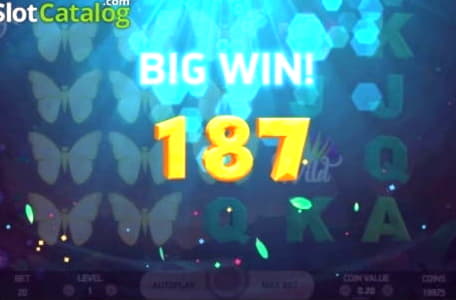 EURO 685 free casino chip at bWin Casino