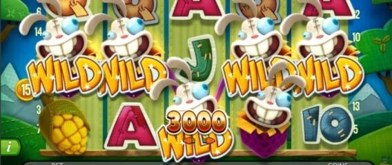 €460 Tournament at Guts Casino