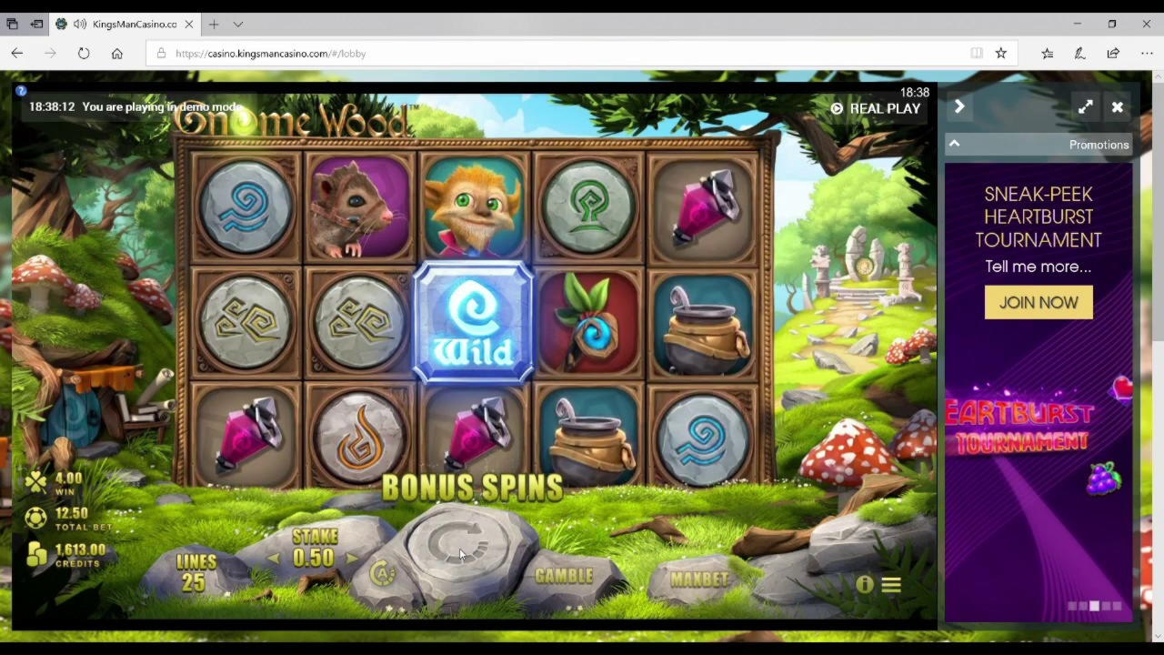 EURO 1255 No Deposit Bonus at Rizk Casino