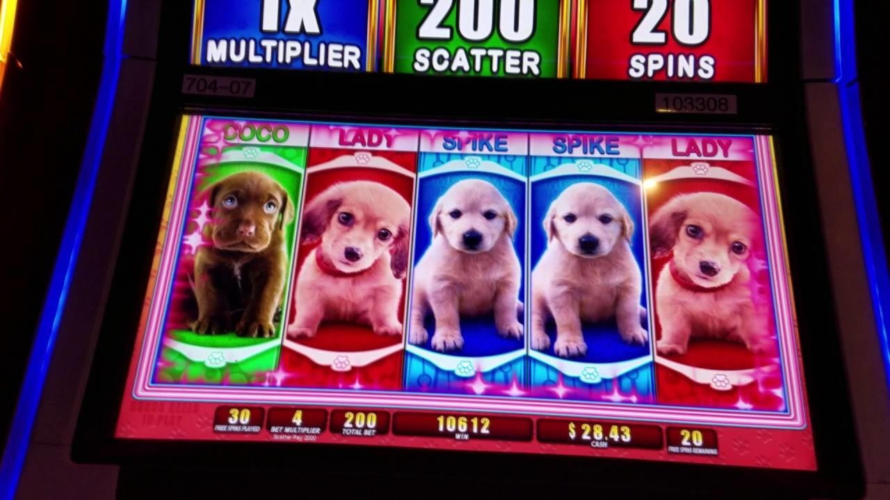 $2250 No Deposit Bonus at Vegas Hero Casino