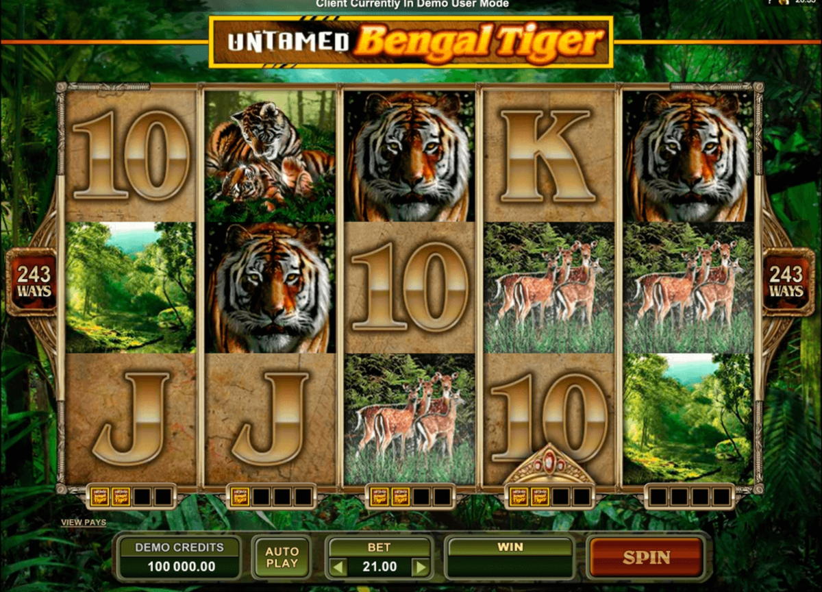$1940 no deposit bonus at Casimba Casino