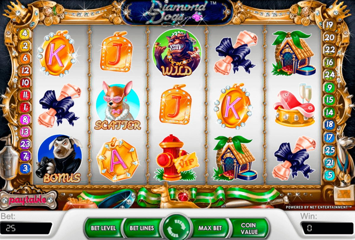 335% Best Signup Bonus Casino at Spin Palace Casino