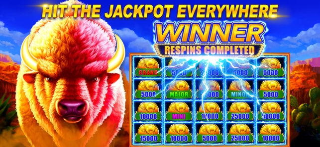 550% First deposit bonus at Vera and Jhon Casino