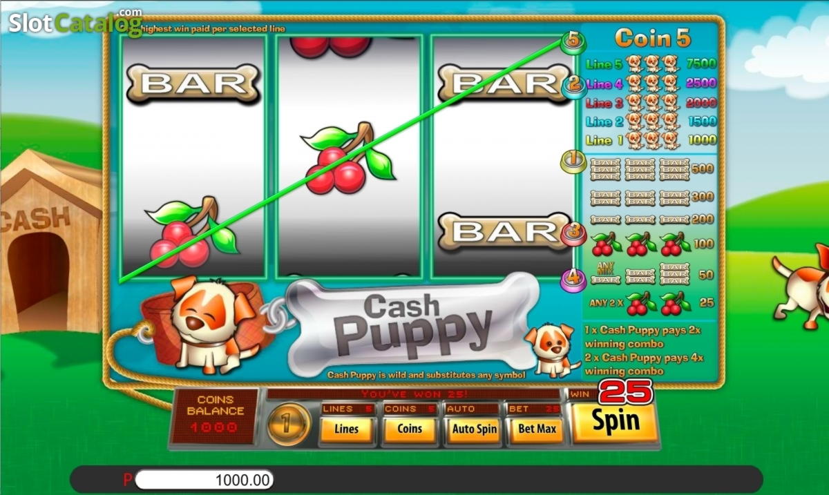875% Match at a casino at Kaboo Casino