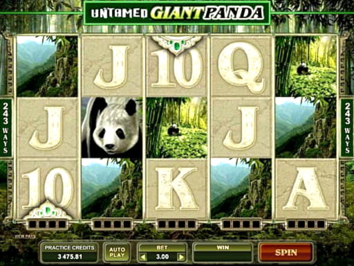 EUR 790 Casino tournaments freeroll at Spinit Casino