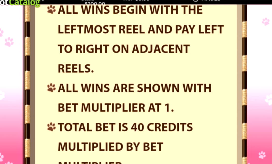 875% Best Signup Bonus Casino at Ikibu Casino