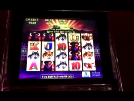 EURO 1585 No Deposit Casino Bonus at Genesis Casino