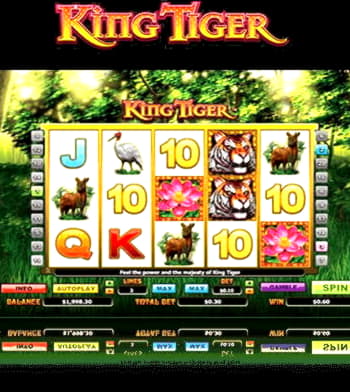 835% Deposit match bonus at Winner Casino