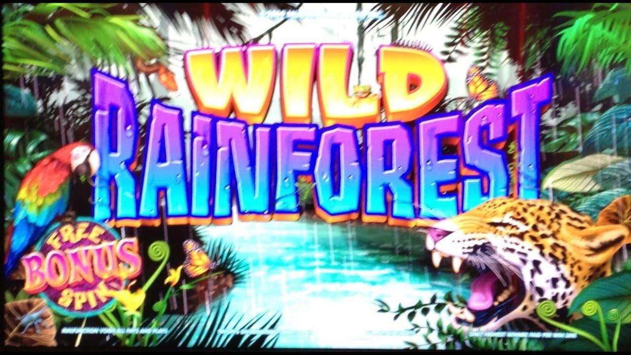 $595 Daily freeroll slot tournament at Slots Million Casino