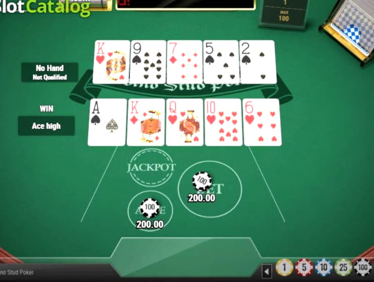 495% No Rules Bonus! at Spinrider Casino