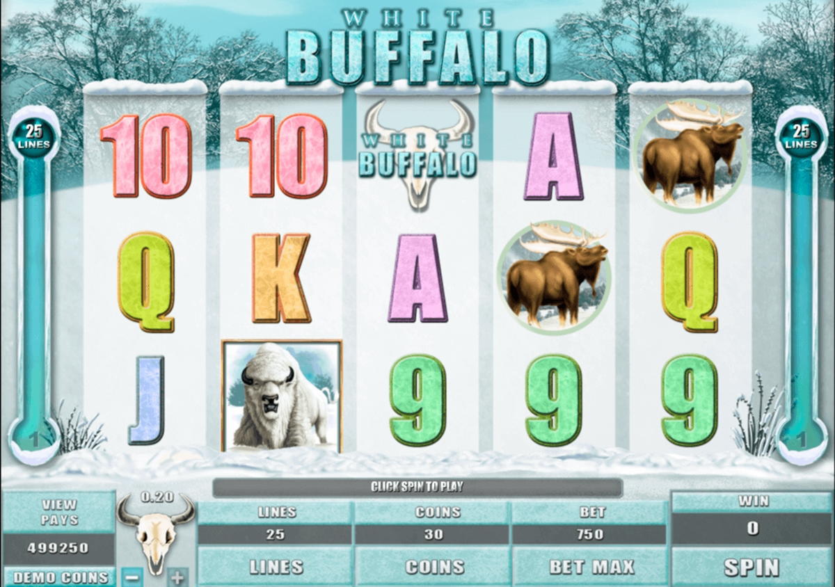 EUR 405 Daily freeroll slot tournament at Leo Vegas Casino