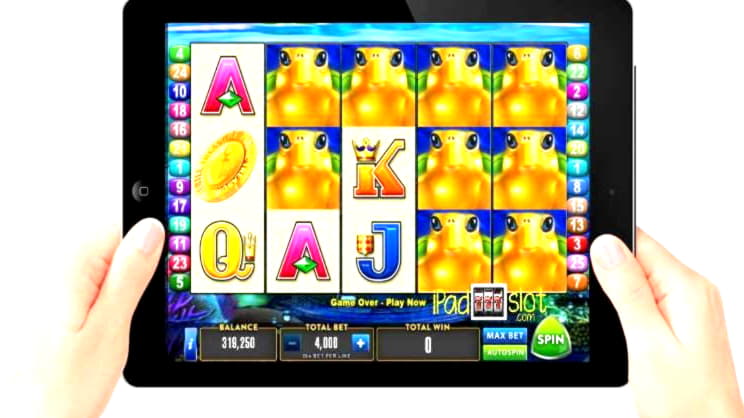 €845 Daily freeroll slot tournament at Rizk Casino