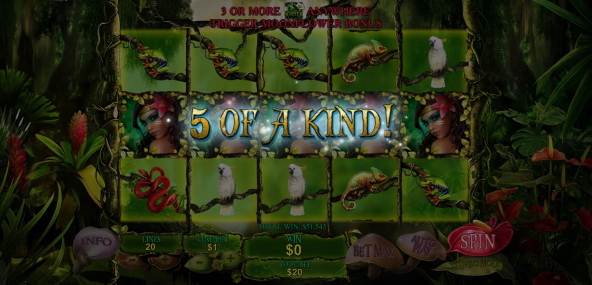 ﻿$80 Casino chip at William Hill Casino