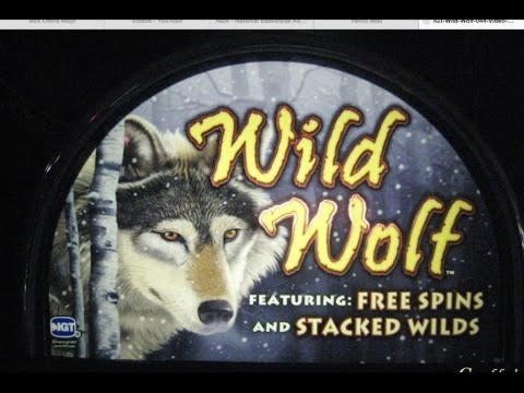 €655 Daily freeroll slot tournament at Party Casino