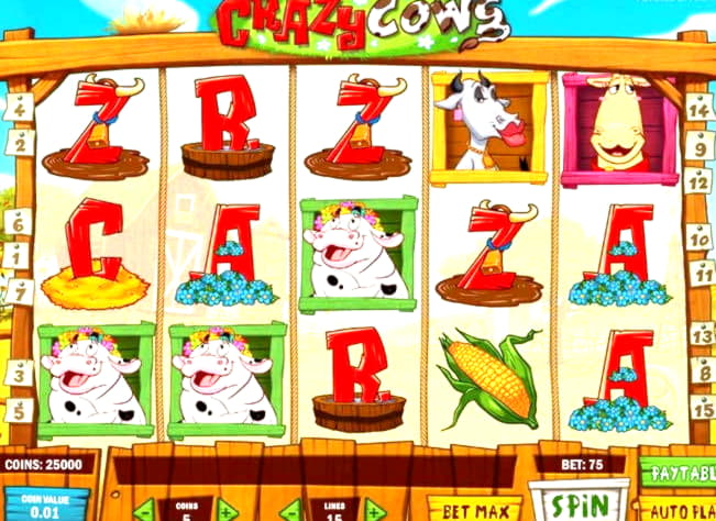175 Free spins casino at Spinrider Casino