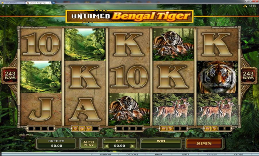 66 Free Spins no deposit casino at Spinrider Casino