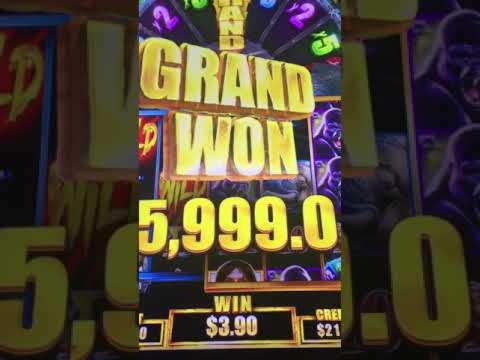 ﻿$215 Free Casino Tournament at Kaboo Casino