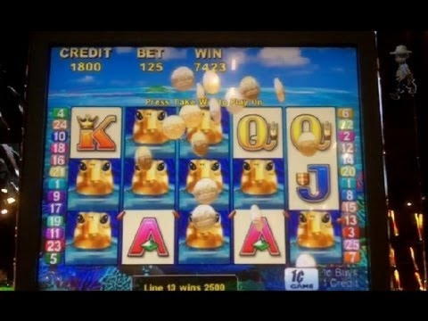 265 Free casino spins at Casimba Casino