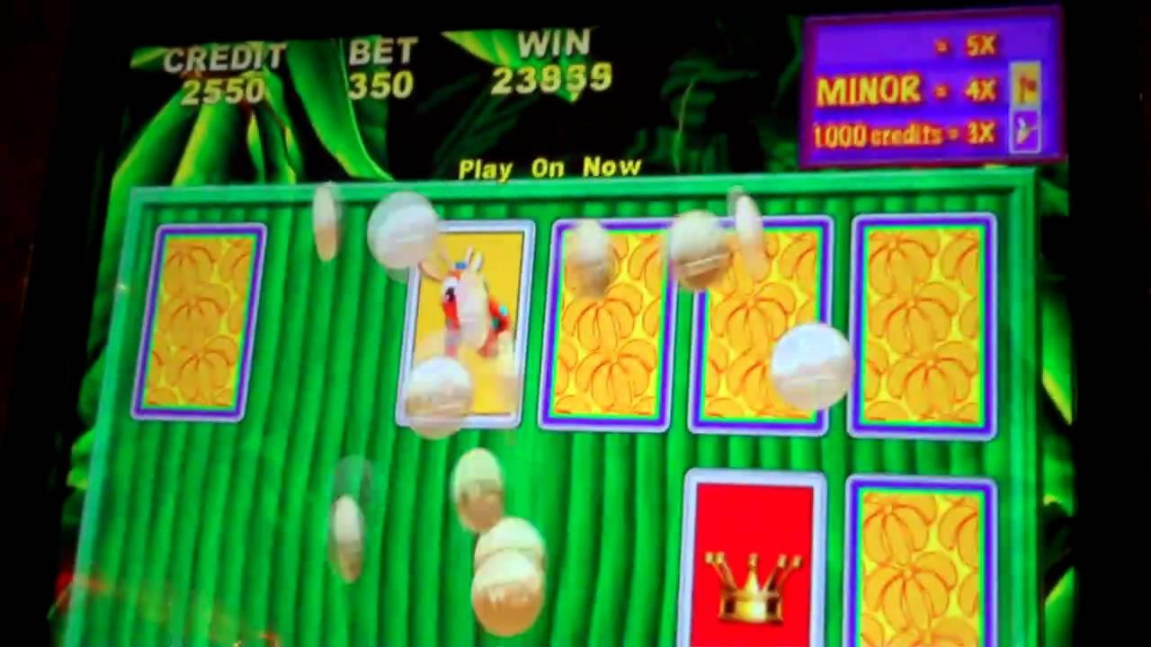 €425 No deposit bonus code at Ikibu Casino