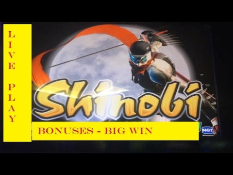EURO 555 Free Chip at Sloty Casino