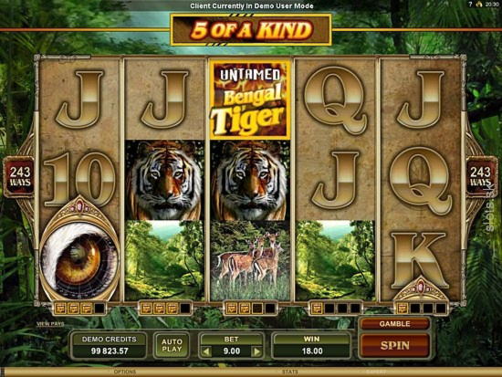 ﻿$3240 No Deposit at Guts Casino