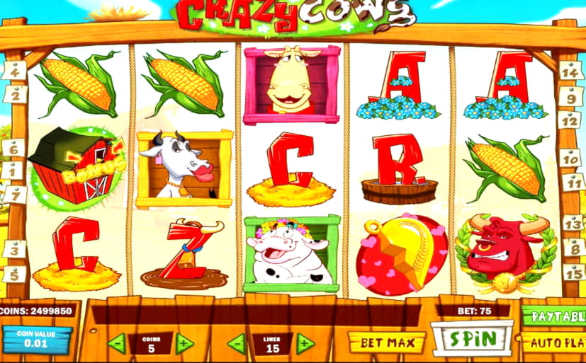 285 Free casino spins at Ikibu Casino